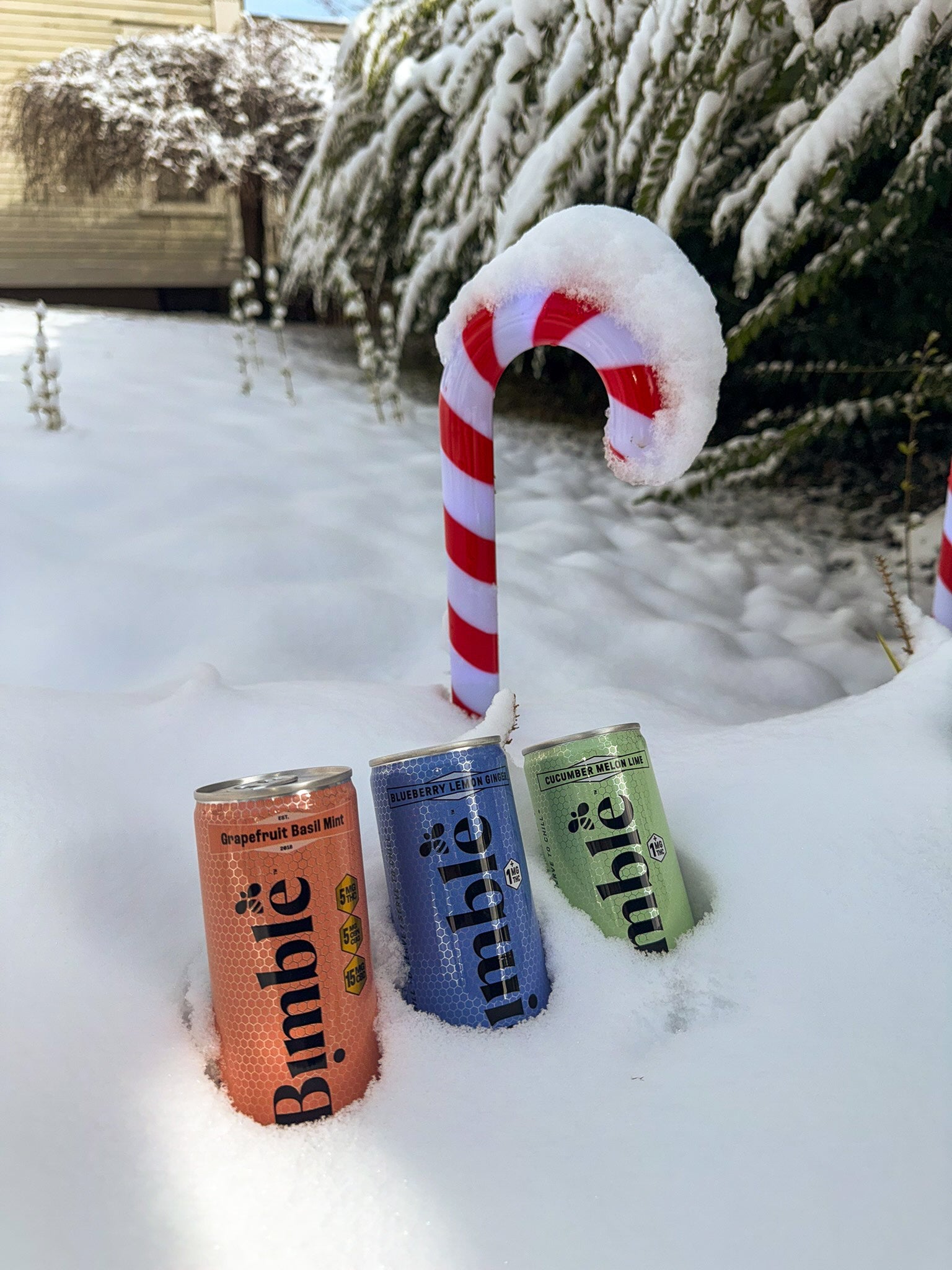 Low-Dose THC Drinks As A Thoughtful, Modern Holiday Present – Bimble