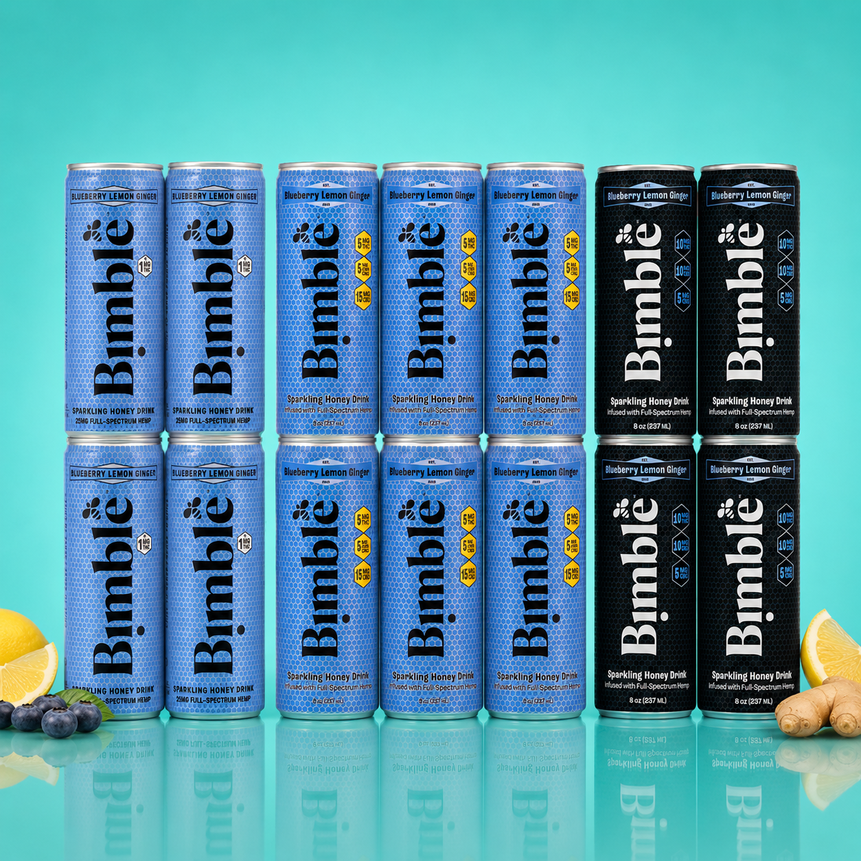 Blueberry Lemon Ginger Solstice Sampler - 14pk